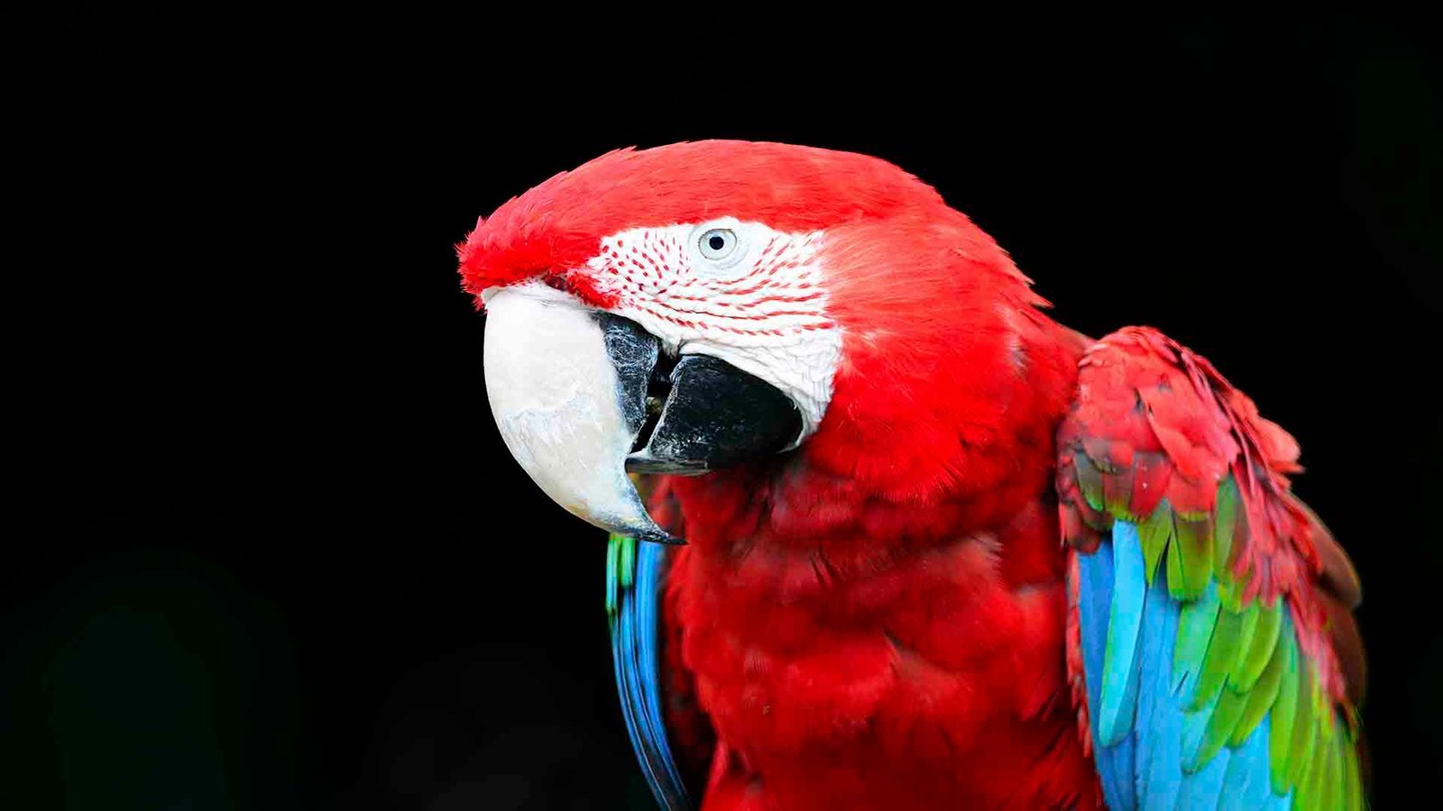 Mysore Zoo